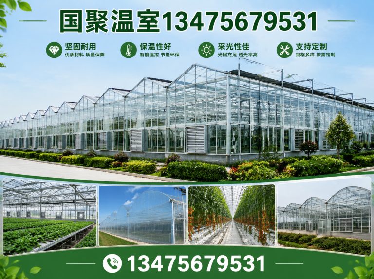 临朐县温室设计施工展示图