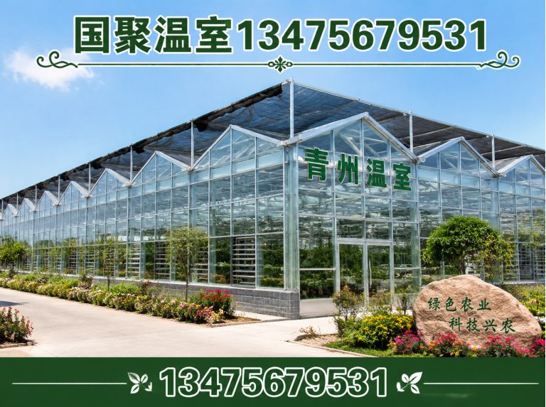 临朐县农业温室工程展示图